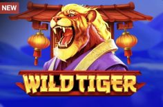 Играть в Wild Tiger