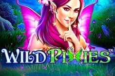 Играть в Wild Pixies