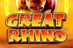 Играть в Great Rhino