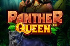 Играть в Panther Queen