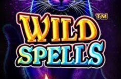 Играть в Wild Spells