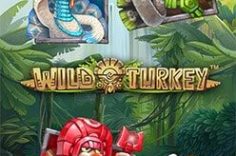 Играть в Wild Turkey